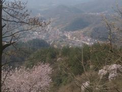 -东白山