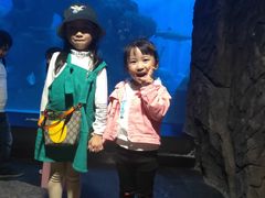 -成都浩海立方海洋公园