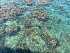 -三亚西岛海洋文化旅游区