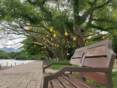 -江心屿景区