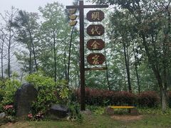 -遂昌金矿国家矿山公园