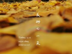 -百林公园-两江幸福广场
