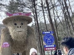 -洛阳白云山景区