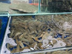 -登州市场(登州路店)