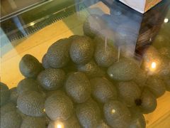 -油梨树AVOCADO TREE(望京店)