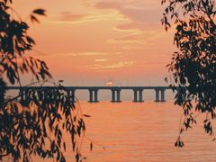 -宝安西湾红树林湿地公园