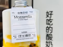 -白色日记·手作酸奶(麦凯乐店)