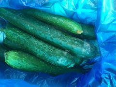 -南汇老顾农家乐采摘大团水蜜桃采摘店