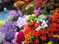 -双季花艺园艺市场(浦东店)