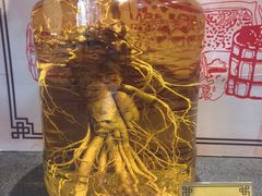 -九江双蒸博物馆