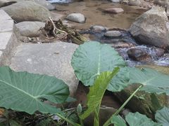 -七仙岭君澜度假酒店