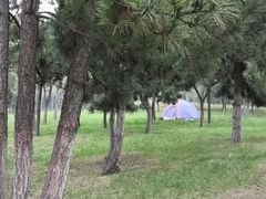 -洨河生态公园