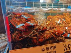 -雍容荟帝王蟹活龙虾展台自助(IFS黑金店)