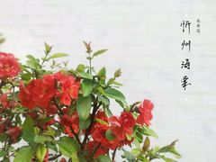-陶然亭公园