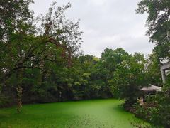 -朱洪元苏式面馆(绿宝广场店)