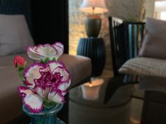 -上海东方佘山翰悦阁酒店·Vie全日制餐厅