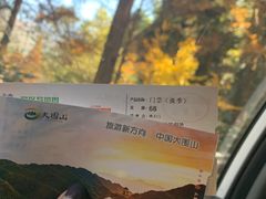 -大围山国家森林公园