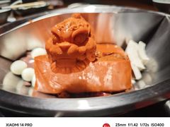 -潮辣成都老火锅(奉贤扶港路店)