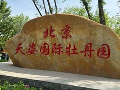 -太阳宫公园