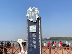 -丁香湖公园