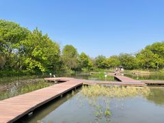 -西溪国家湿地公园