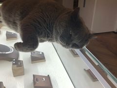 -Me Coffee下午茶艺术空间