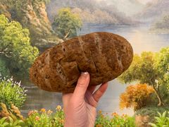 黑糖厚芋泥软软包-LELECHA乐乐茶(新街口大洋店)