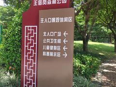-王借岗森林公园