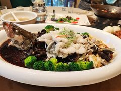 清蒸桂鱼-永乐饭庄(安德路店)