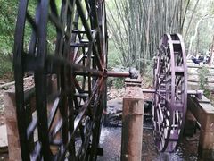 -大屏嶂森林公园