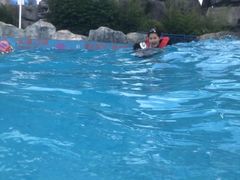 -青鱼湾水上乐园