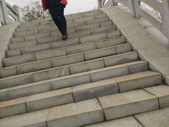 -瑶湖郊野森林公园