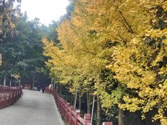 -老君山