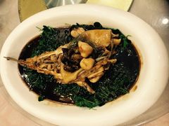 红烧菊黄河豚-鸿运酒楼