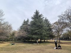 -洛阳市隋唐城遗址植物园