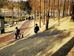 -牛岗山公园
