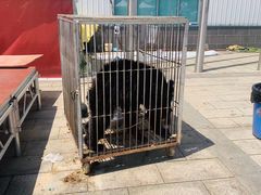 -千龙湖生态旅游度假区