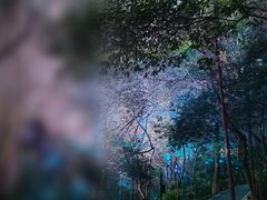 -龟山风景区-龟山电视塔
