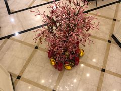 -上海新锦江大酒店