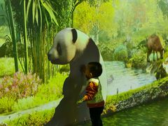 -陕西自然博物馆