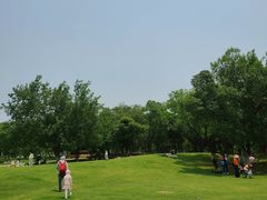 -盘龙城遗址博物院