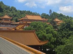 -深圳仙湖植物园