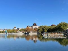 -莲花池公园