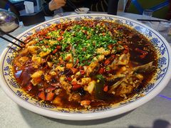 -新概念来凤鱼(璧山店)