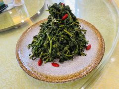 清香枸杞苗-国强手抓(北京西路店)