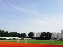 -山东外贸职业学院