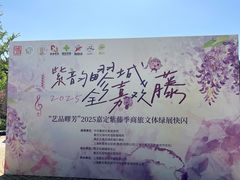 -嘉定紫藤园