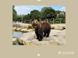 有一条自驾路线可以开开停停味小动物
