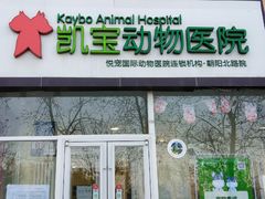 -悦宠凯宝动物医院·牙科·皮肤科(朝阳北路店)