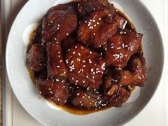 -田螺阿姨自营月嫂·育儿嫂(高新店)